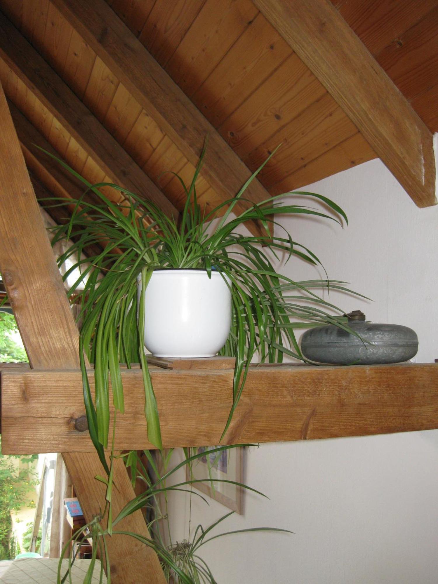 Apartments Bed & Breakfast Brueckner Willanzheim Esterno foto