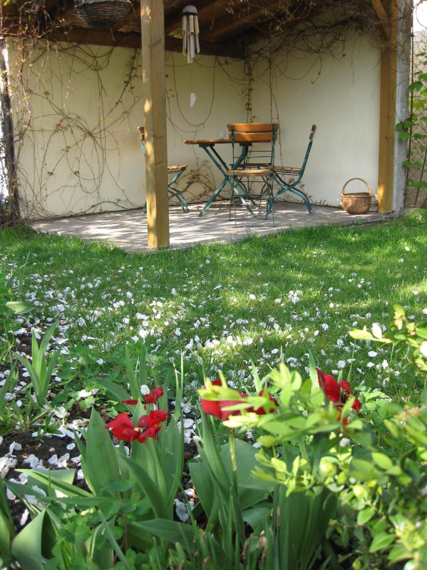 Apartments Bed & Breakfast Brueckner Willanzheim Esterno foto
